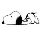 土豆稀饭的个人资料头像