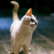 比邻若天涯的个人资料头像