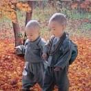 里恩的个人资料头像