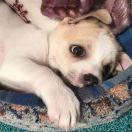 Yang同志80418的个人资料头像