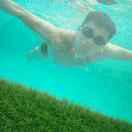 低调的个人资料头像