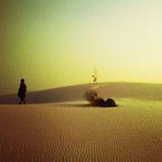 不懂FE的萝卜的个人资料头像