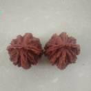 暖心人的个人资料头像