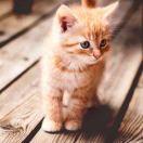 whj3125299的个人资料头像