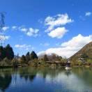 追蒙梦神的个人资料头像