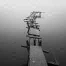 Zaadai的个人资料头像