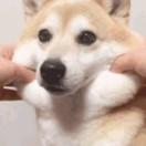 萝卜就是我80630的个人资料头像