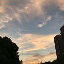 梦在掘金的个人资料头像