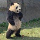 Boyn的个人资料头像