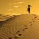 自由行走的蟹的个人资料头像