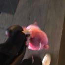 watayouxiang的个人资料头像