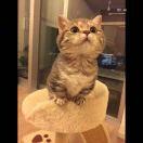 Jiao的个人资料头像