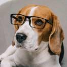 CRAFT80835的个人资料头像