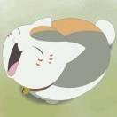 二尾猫的个人资料头像