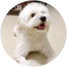 AngelaZombie的个人资料头像