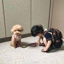 王婷婷本尊的个人资料头像