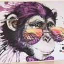 樊亮的个人资料头像