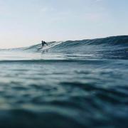 ZuopieziChen的个人资料头像