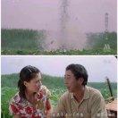 西瓜不想说话81132的个人资料头像