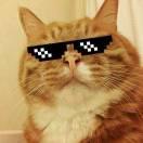 D君81139的个人资料头像