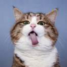 同学81147的个人资料头像