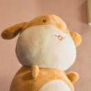 稳的个人资料头像