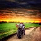 李国栋酱的个人资料头像