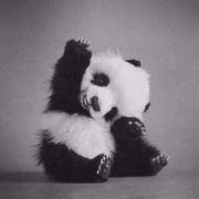 瞌睡的柒的个人资料头像