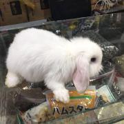 滴水不漏BGm的个人资料头像