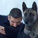 Aaron同学81307的个人资料头像