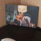 做梦都会笑醒的个人资料头像