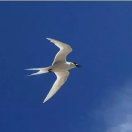 其他用户01的个人资料头像