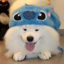 羊驼不想说话的个人资料头像