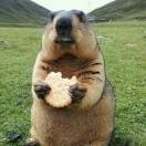 阿泰在掘金81387的个人资料头像