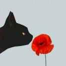 确幸不想说话的个人资料头像