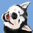 崔晓川的个人资料头像