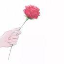 执念的个人资料头像