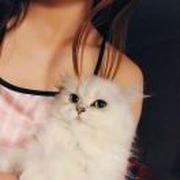 菜菜不想说话81431的个人资料头像