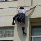 戳戳戳戳戳戳戳戳戳的个人资料头像