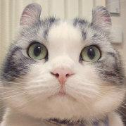 autoRice的个人资料头像