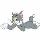 邱宇besos的个人资料头像