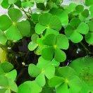 jack哈喽的个人资料头像