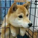 斌本尊81796的个人资料头像