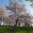 西装革履的程序猿的个人资料头像