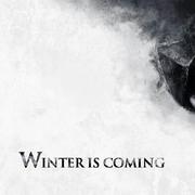 鲁洋洋的个人资料头像