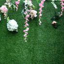 Jackie不想说话81904的个人资料头像