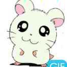 新帆的个人资料头像