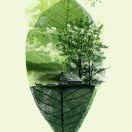 lhl同志的个人资料头像