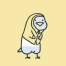 xutlong的个人资料头像