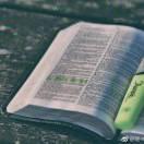 SeaMountain的个人资料头像